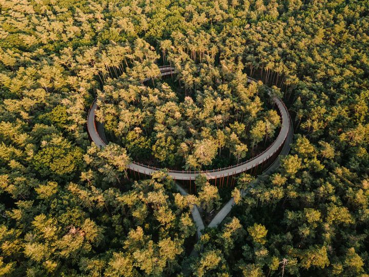 Fietsen door de Bomen uitgeroepen tot Publieksprijs Route van het Jaar 2025 🥇