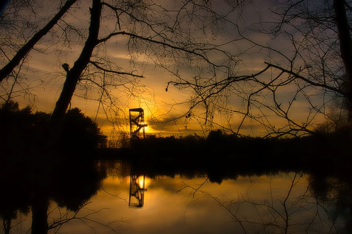 Rond en op de reus van Bosland