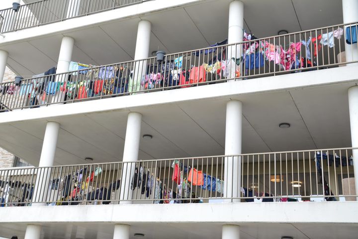 Ploegdries oogt bijzonder kleurrijk