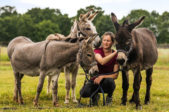 Betalende workshops opnieuw een hoogtepunt op de Molenfeesten