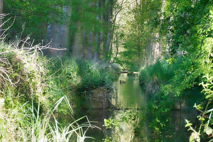 Wandeling in de Kolonie