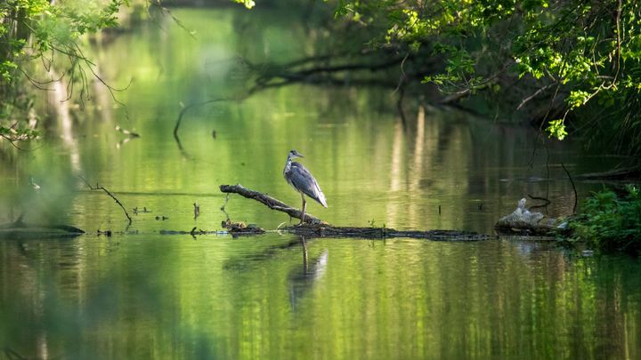Hoe mooi is onze Lommelse natuur...