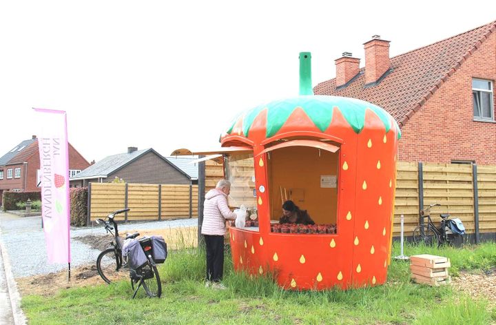 Aardbeienkraampje is er weer