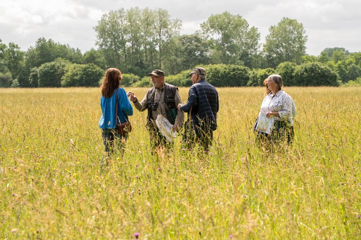 Hommelwandeling bij Natuurpunt