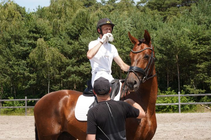 Jonge dressuurtalenten trotseren de hitte tijdens SBB-competitie in Lommel