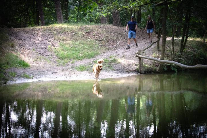 Zomerfoto's van Leon