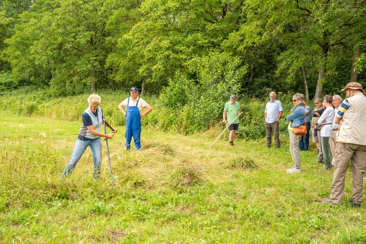 Workshop 'Zeisen' in de Vloeiweiden