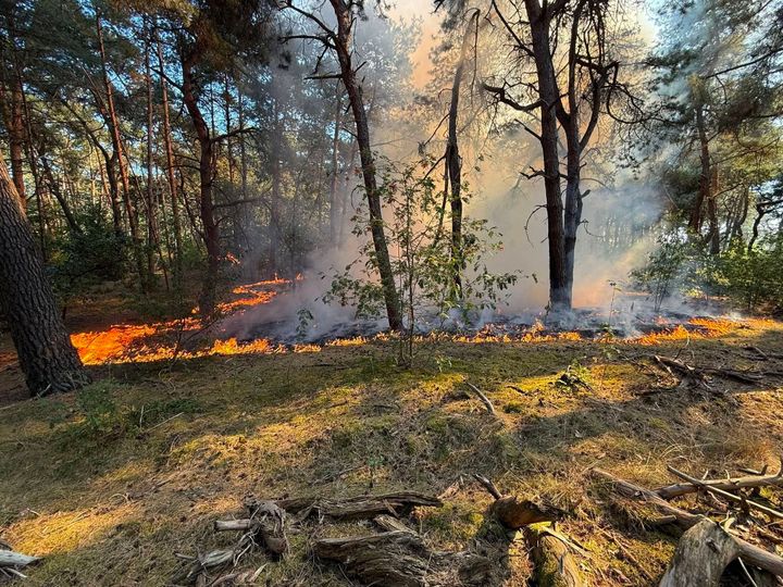 Brand in Duinenstraat: erger vermeden door snelle optreden brandweer