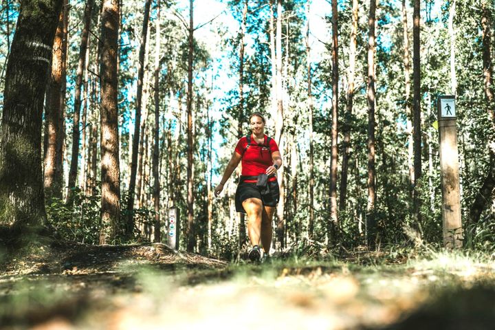 Boslandtrail: de wandelaars in 500 foto's