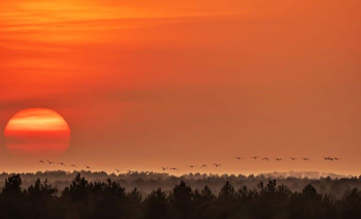 De mooiste zomerfoto's (1)