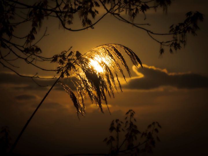 De herfst equinox