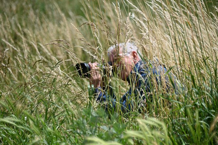 De mooiste zomerfoto's (3)
