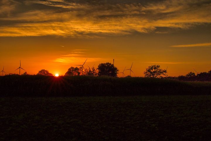 Silhouetten in vuur en goud aan de Leyssensmolen