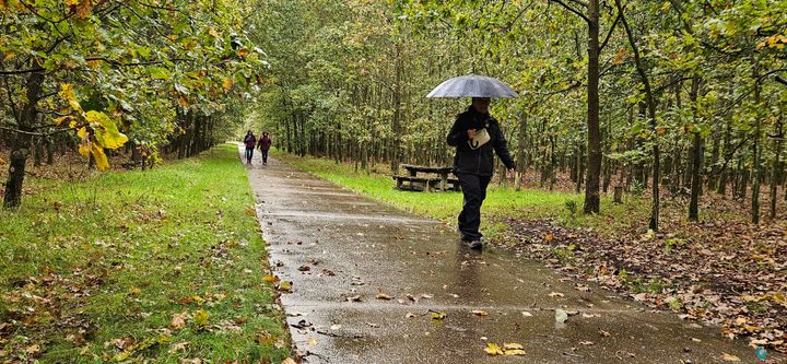 Miezerweer en herfstpracht: meer dan 500 wandelaars genieten van sfeervolle Waaltjesbostocht