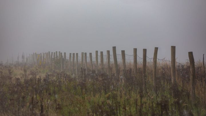 Natuurfoto's van Leon Van Ham