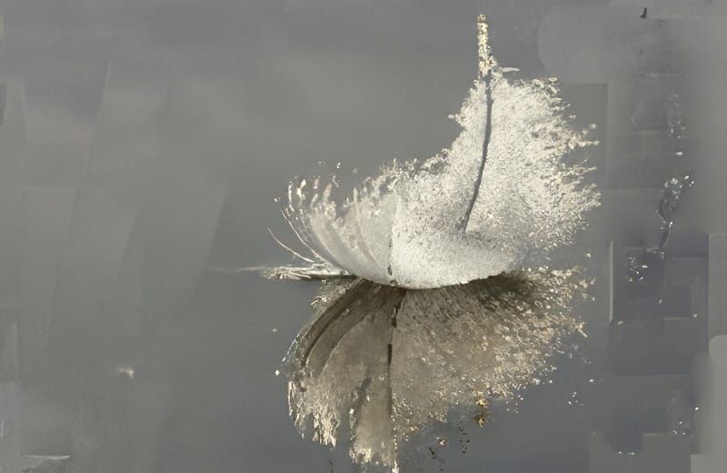 Jef Schepers overleden (85 jaar)