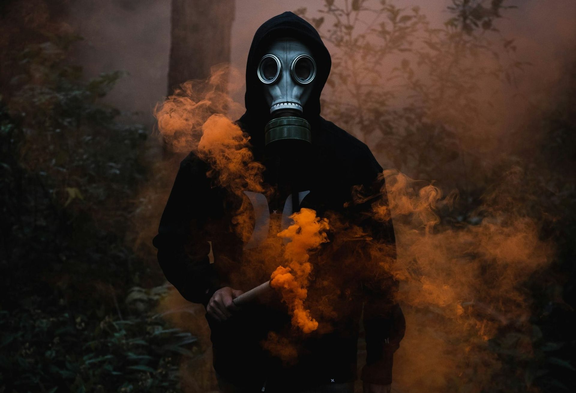 The Writer's Community is Toxic
