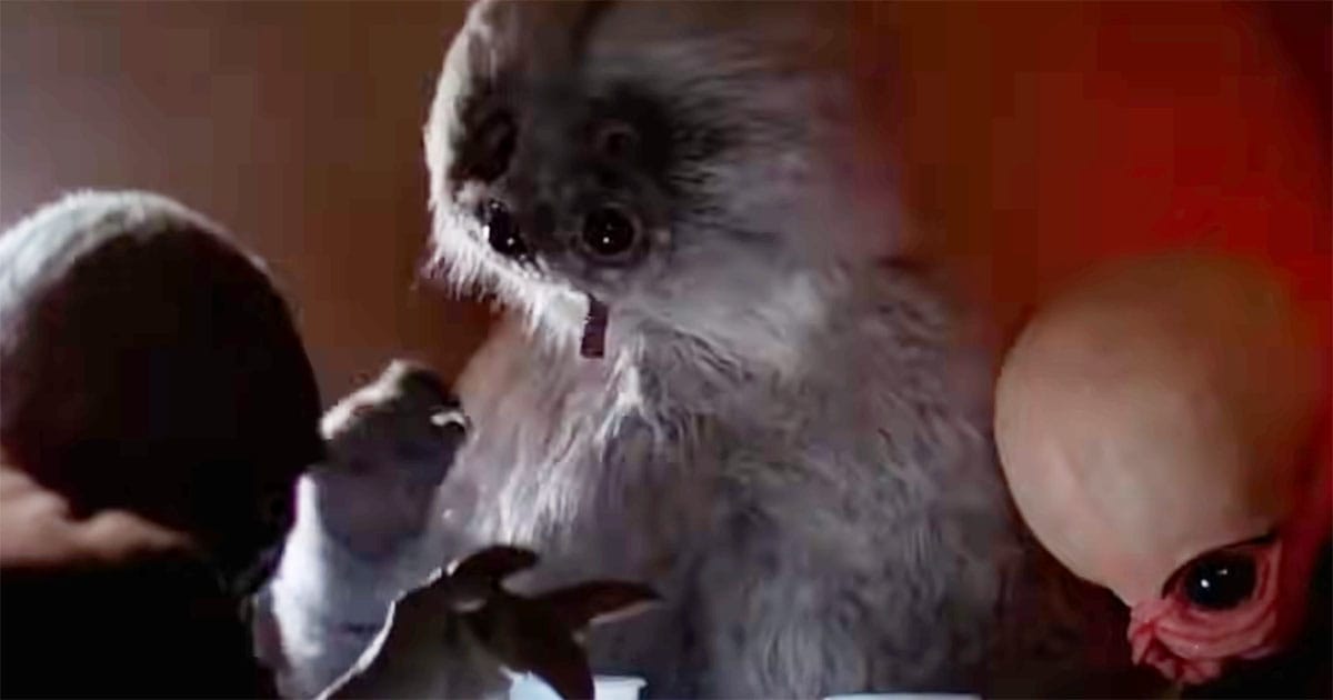 Muftak, the white-furred Talz alien with four eyes, sits at a table inside the dimly lit Mos Eisley Cantina in "Star Wars: A New Hope."