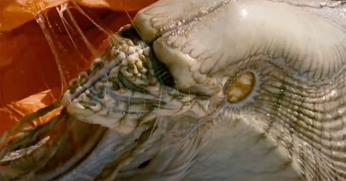 Close-up of alien creature from Independence Day entangled in orange parachute.