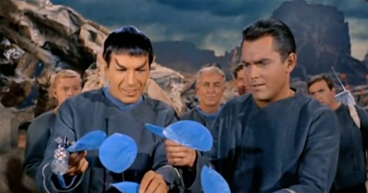 Spock examining a blue alien plant alongside another Starfleet officer during an away mission in Star Trek.
