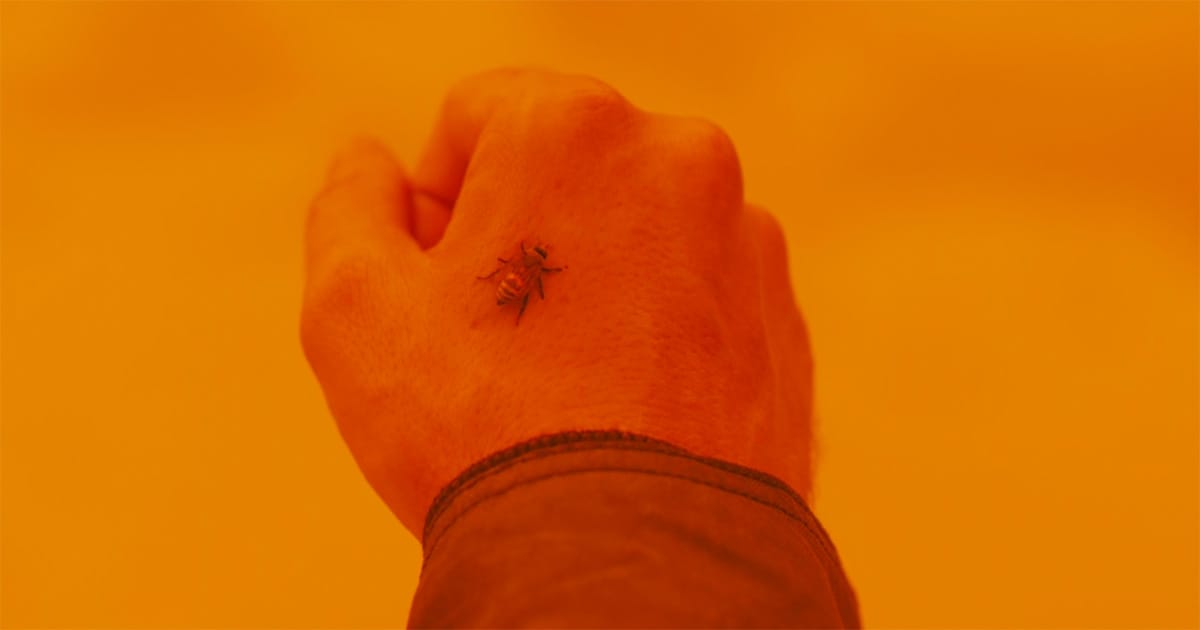 Close-up of a bee resting on Officer K’s hand in "Blade Runner 2049"
