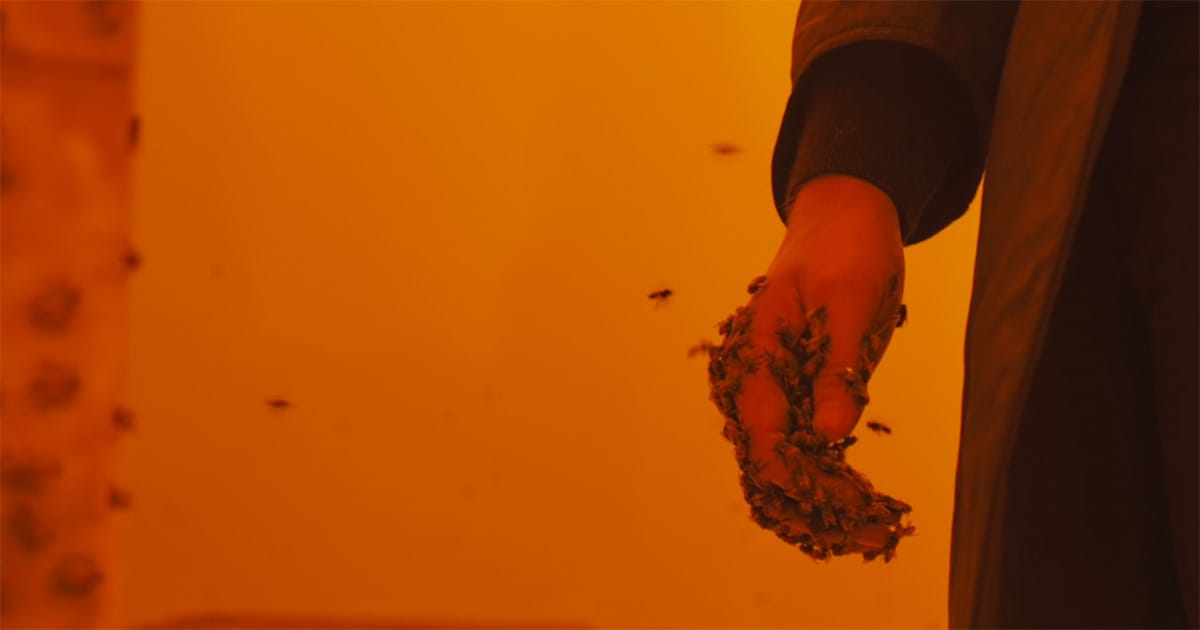Bees gathered around Officer K’s hand in "Blade Runner 2049"