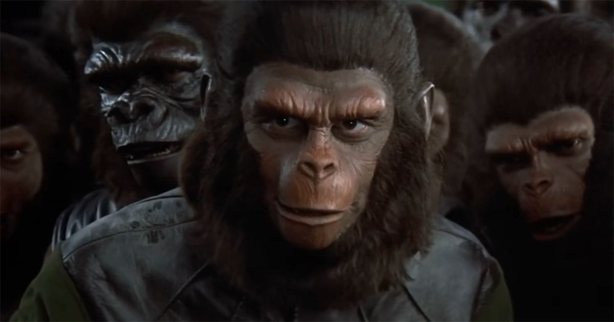 Close-up of Caesar surrounded by members of ape society in "Battle for the Planet of the Apes."