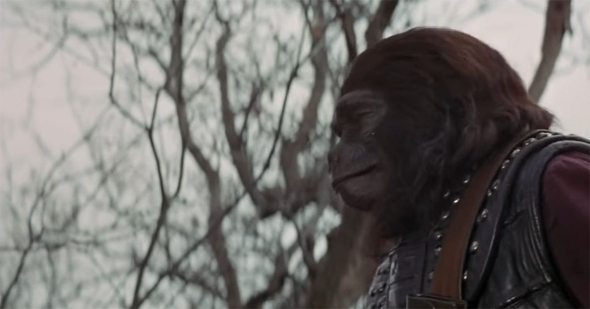 Caesar stands in armor and reflects on the future of ape society in "Battle for the Planet of the Apes."