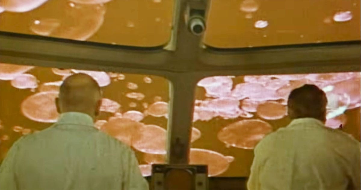The Proteus crew looks out at giant red blood cells in "Fantastic Voyage".