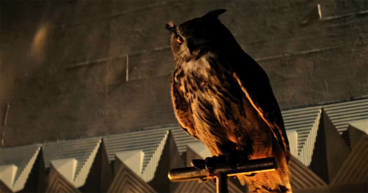 An owl perched inside the Tyrell Corporation headquarters in "Blade Runner" (1982).