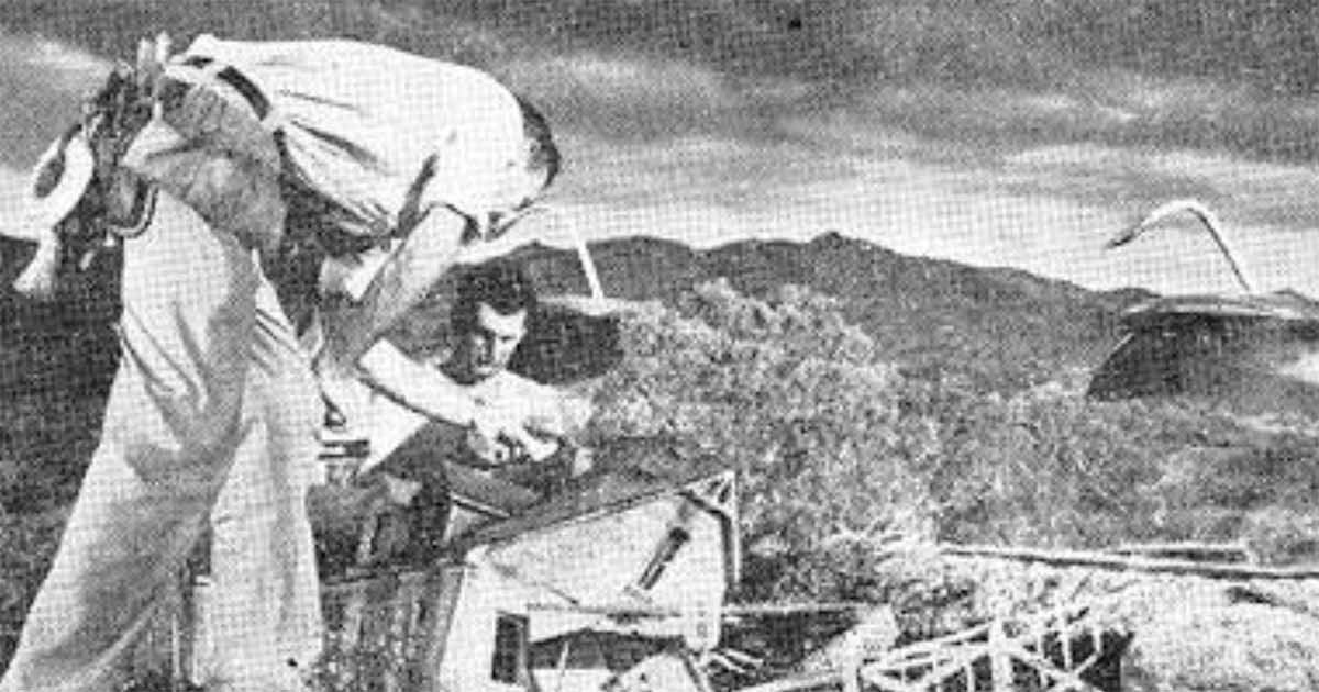Special-effects technician works on a miniature landscape and model buildings for a classic science-fiction production.