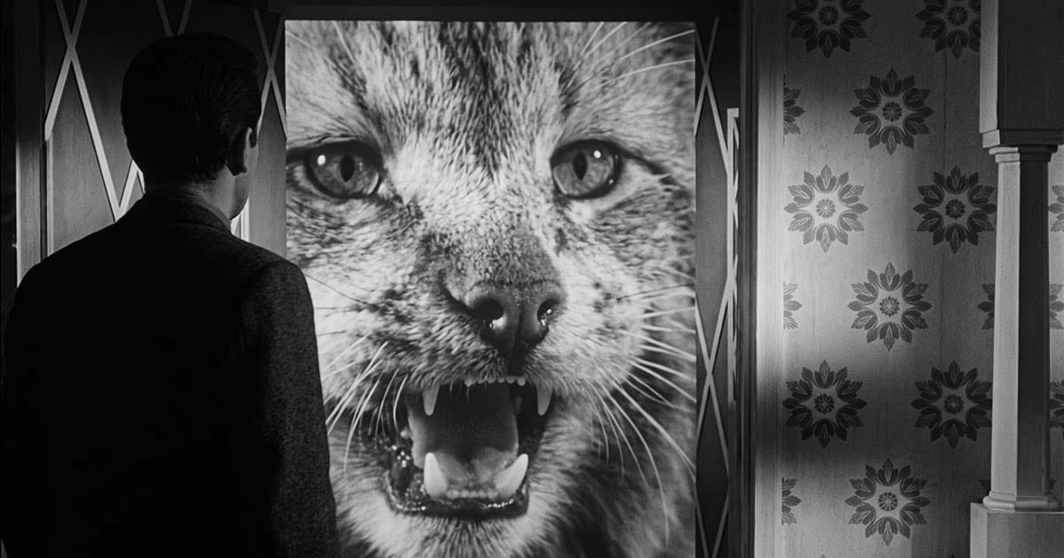 A tiny Scott Carey faces the enormous snarling family cat outside his dollhouse in “The Incredible Shrinking Man.”