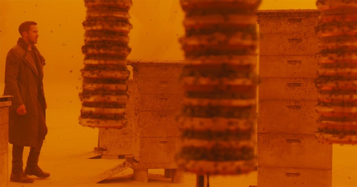 Officer K standing among bee hives in the orange Las Vegas ruins in "Blade Runner 2049"