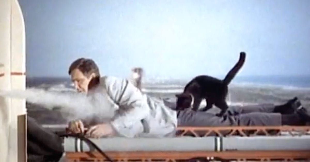 Gary Seven crawls across a rocket platform with the black cat Isis beside him during the "Star Trek" episode "Assignment: Earth."