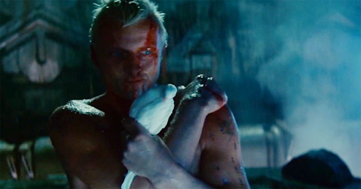 Roy Batty holding a white dove in the rooftop finale of "Blade Runner" (1982).