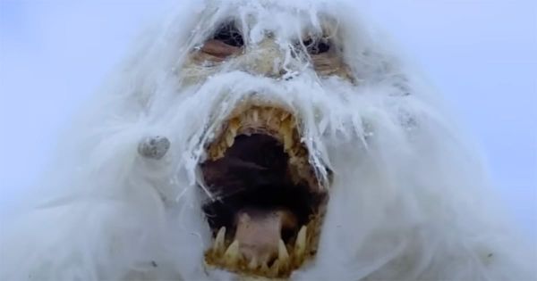 Close-up of the Wampa creature from "The Empire Strikes Back" with its mouth open wide in a snowy setting.