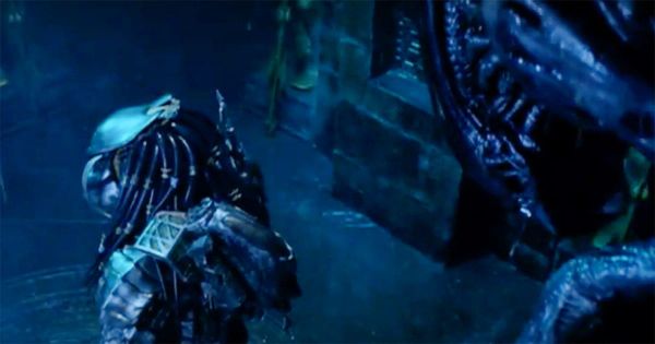 Predator and Xenomorph facing off in a dimly lit stone temple scene from Alien vs Predator, bathed in blue light and dramatic shadows.