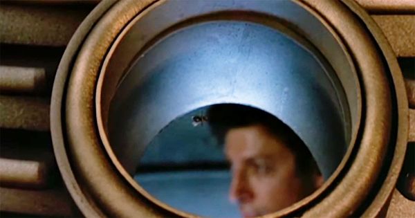 A scientist’s reflection seen through the opening of a teleportation pod with a fly inside.