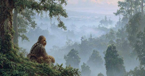 Wookiee sitting on a forest ledge overlooking misty Kashyyyk, symbolizing the sacred life debt in Star Wars lore.