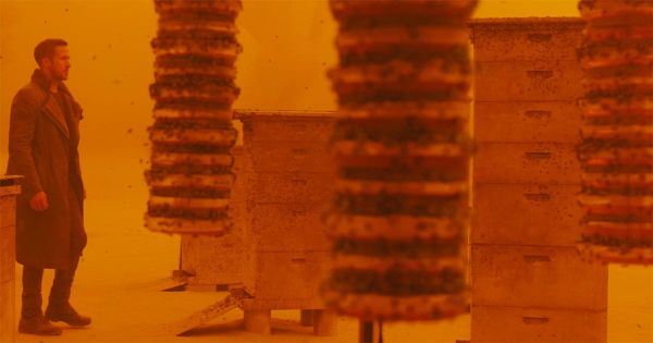 Officer K standing among bee hives in the orange Las Vegas ruins in "Blade Runner 2049"