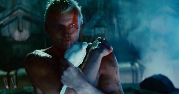 Roy Batty holding a white dove in the rooftop finale of "Blade Runner" (1982).