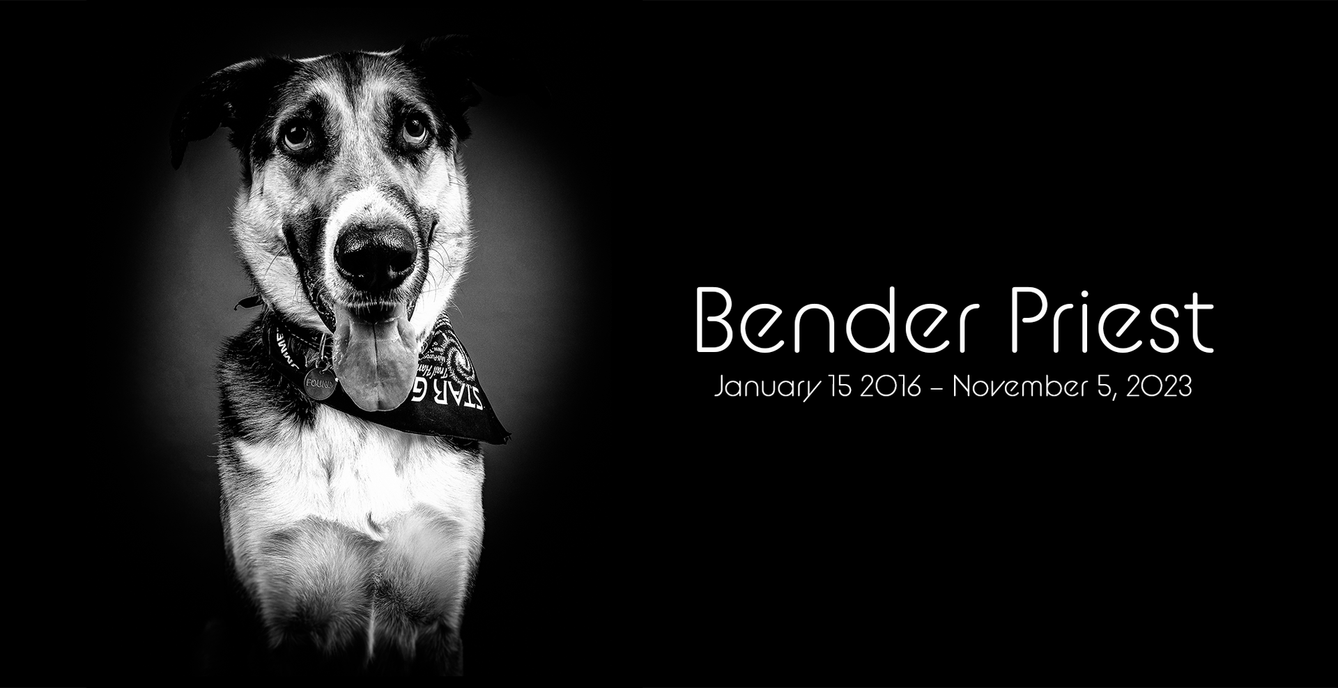 Every acorn is a paw at the door