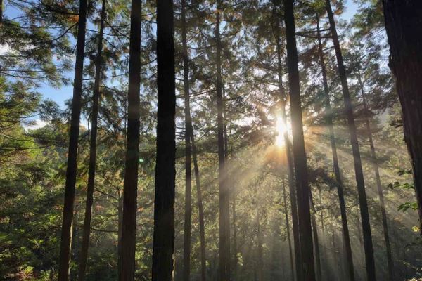 The Loneliest Conversation