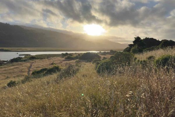 Why I Find It Hard to Write About Being a Widow