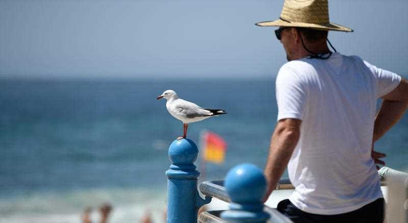 Victorians urged to prepare for 'extreme heat' today
