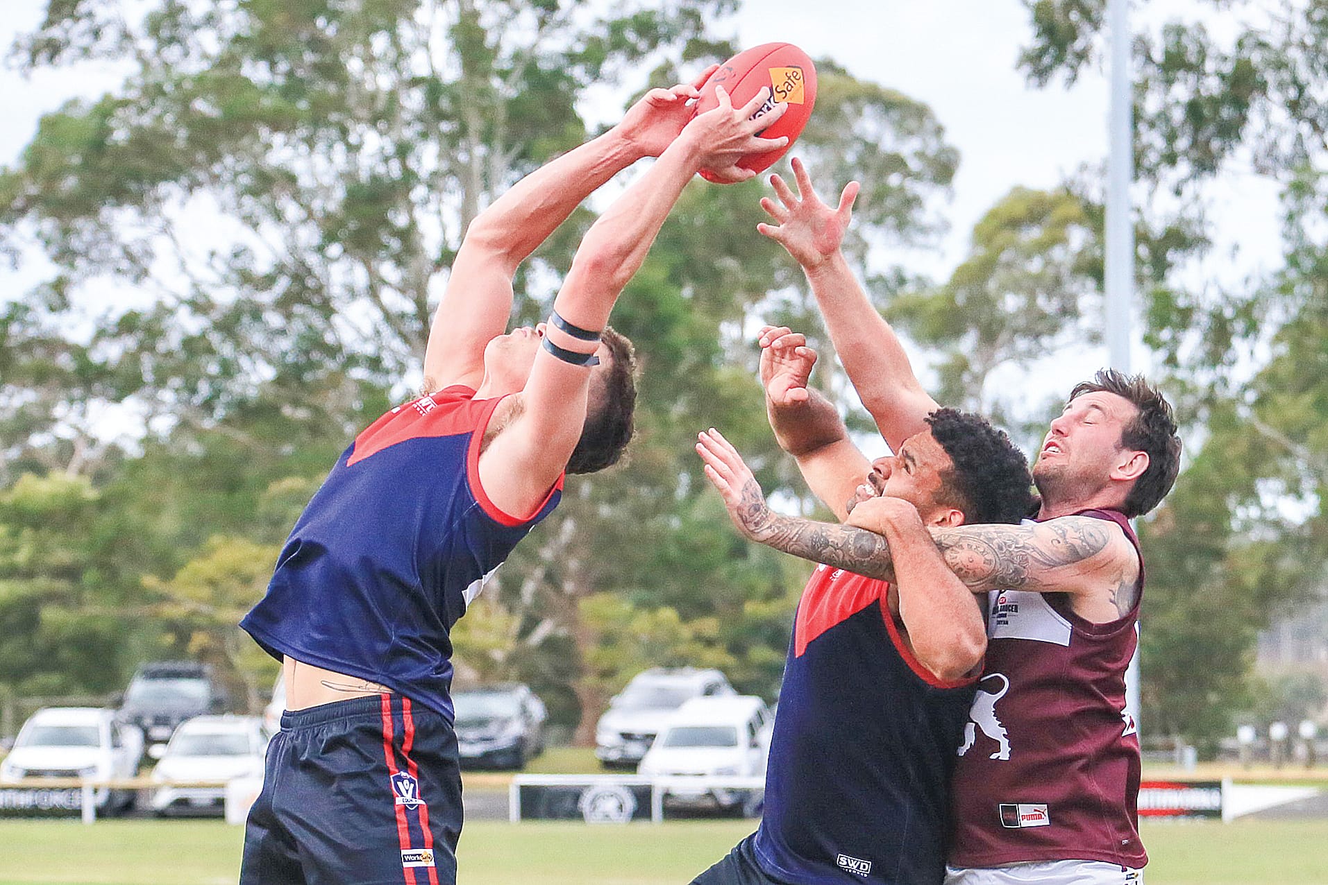 Demons edge Lions in thriller to open season on a high