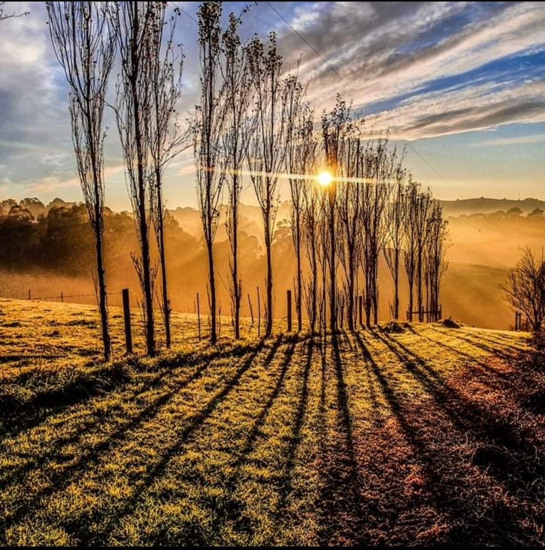 Fleming Berries is a family owned and operated business in the hills of Korumburra.
