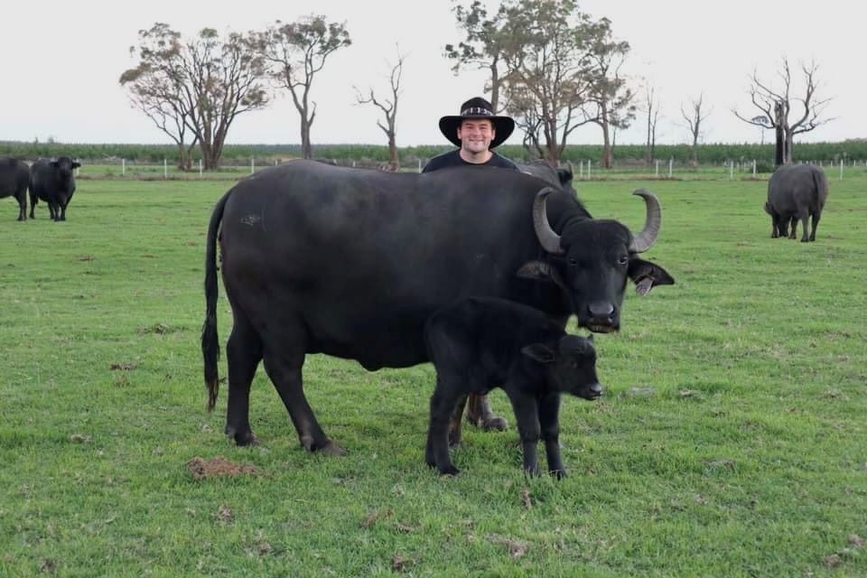 It’s “Buffalo Time” all the time at Bryan Jans’ family buffalo farm at Giffard West, east of Yarram.