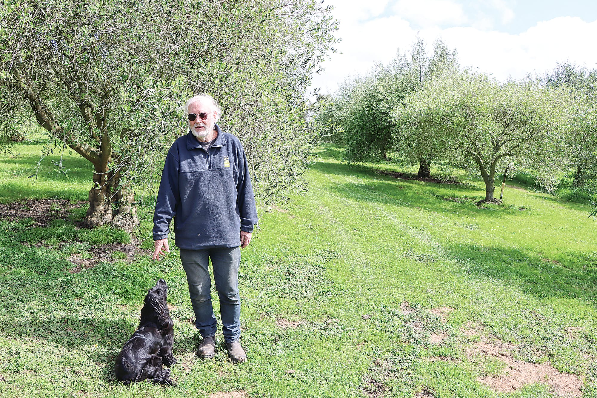 Peter Wright and dog Milly in an olive grove. A04a_4524