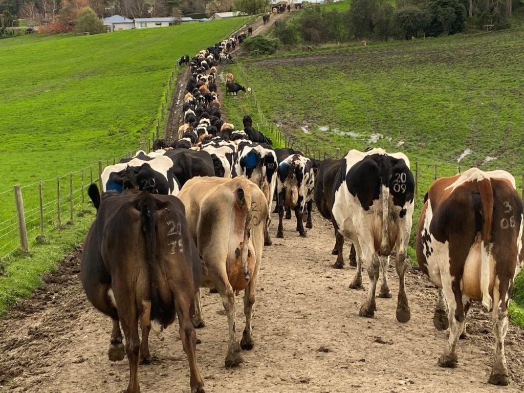Farmers: What is your strategy when depression strikes? Here’s help